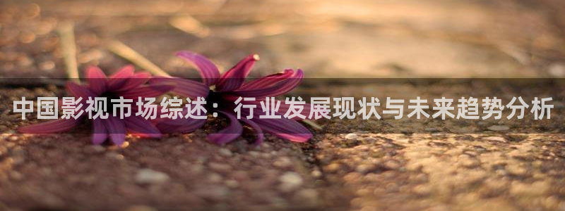 秋霞影院电视剧在线观：中国影视市场综述：行业发展现状与未来趋势分析