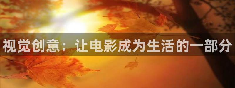 秋霞影院少妇：视觉创意：让电影成为生活的一部分